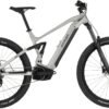 Carver Drift E.510 - 500 Wh - 29 Zoll - Fully