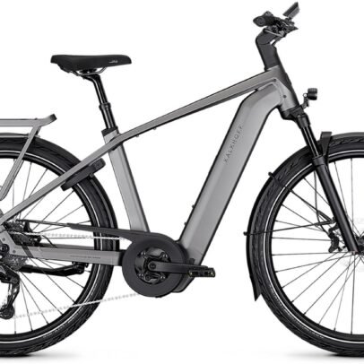 Kalkhoff Endeavour 5+ Advance - 800 Wh - 29 Zoll - Diamant - 2026