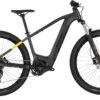 Carver Strict E.510 - B - Ware - 500 Wh - 29 Zoll - Diamant